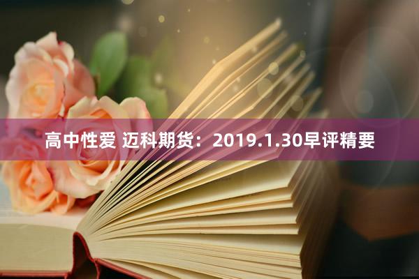 高中性爱 迈科期货：2019.1.30早评精要