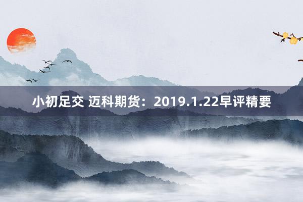 小初足交 迈科期货：2019.1.22早评精要