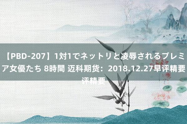 【PBD-207】1対1でネットリと凌辱されるプレミア女優たち 8時間 迈科期货：2018.12.27早评精要