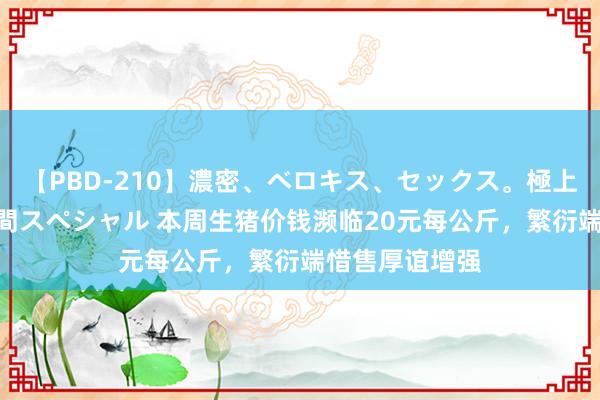 【PBD-210】濃密、ベロキス、セックス。極上接吻性交 8時間スペシャル 本周生猪价钱濒临20元每公斤，繁衍端惜售厚谊增强