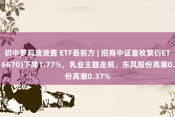 初中萝莉液液酱 ETF最前方 | 招商中证畜牧繁衍ETF(516670)下降1.77%，乳业主题走弱，东风股份高潮0.37%