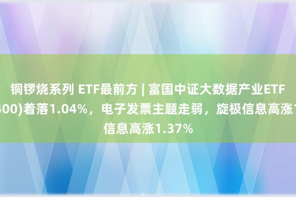 铜锣烧系列 ETF最前方 | 富国中证大数据产业ETF(515400)着落1.04%，电子发票主题走弱，旋极信息高涨1.37%