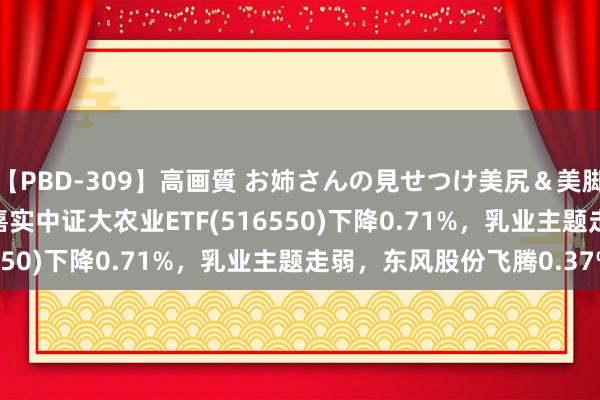 【PBD-309】高画質 お姉さんの見せつけ美尻＆美脚の誘惑 ETF最前列 | 嘉实中证大农业ETF(516550)下降0.71%，乳业主题走弱，东风股份飞腾0.37%