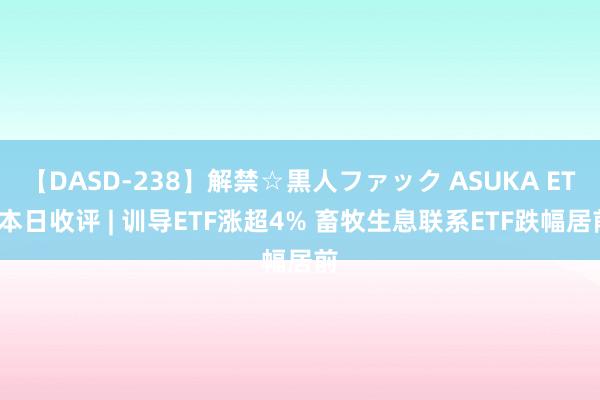 【DASD-238】解禁☆黒人ファック ASUKA ETF本日收评 | 训导ETF涨超4% 畜牧生息联系ETF跌幅居前