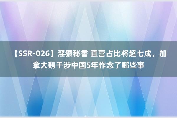 【SSR-026】淫猥秘書 直营占比将超七成，加拿大鹅干涉中国5年作念了哪些事