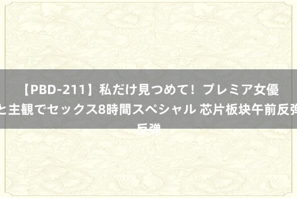 【PBD-211】私だけ見つめて！プレミア女優と主観でセックス8時間スペシャル 芯片板块午前反弹