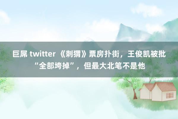 巨屌 twitter 《刺猬》票房扑街，王俊凯被批“全部垮掉”，但最大北笔不是他