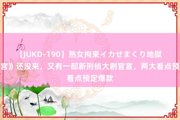 【JUKD-190】熟女拘束イカせまくり地獄 《雪迷宫》还没来，又有一部新刑侦大剧官宣，两大看点预定爆款