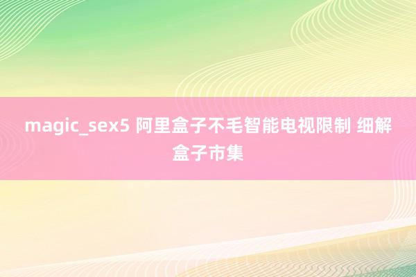 magic_sex5 阿里盒子不毛智能电视限制 细解盒子市集