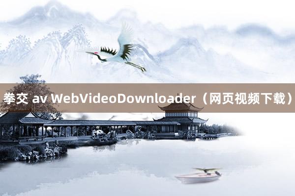 拳交 av WebVideoDownloader（网页视频下载）