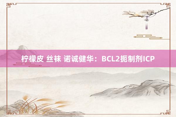 柠檬皮 丝袜 诺诚健华：BCL2扼制剂ICP