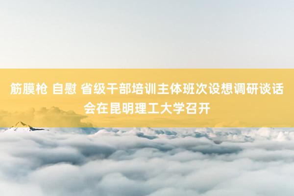 筋膜枪 自慰 省级干部培训主体班次设想调研谈话会在昆明理工大学召开