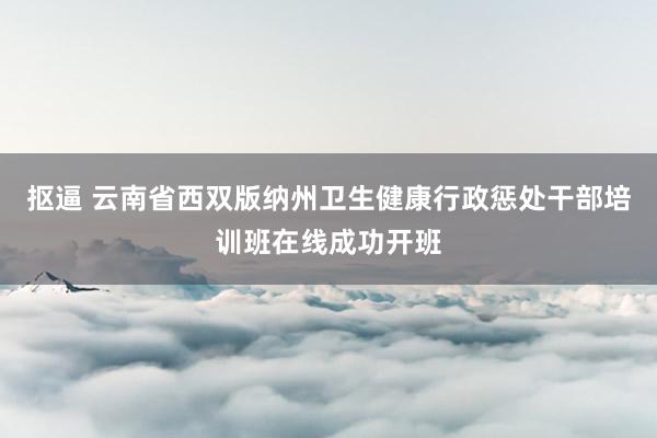 抠逼 云南省西双版纳州卫生健康行政惩处干部培训班在线成功开班