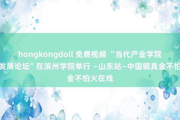 hongkongdoll 免费视频 “当代产业学院拓荒与发展论坛”在滨州学院举行 —山东站—中国锻真金不怕火在线